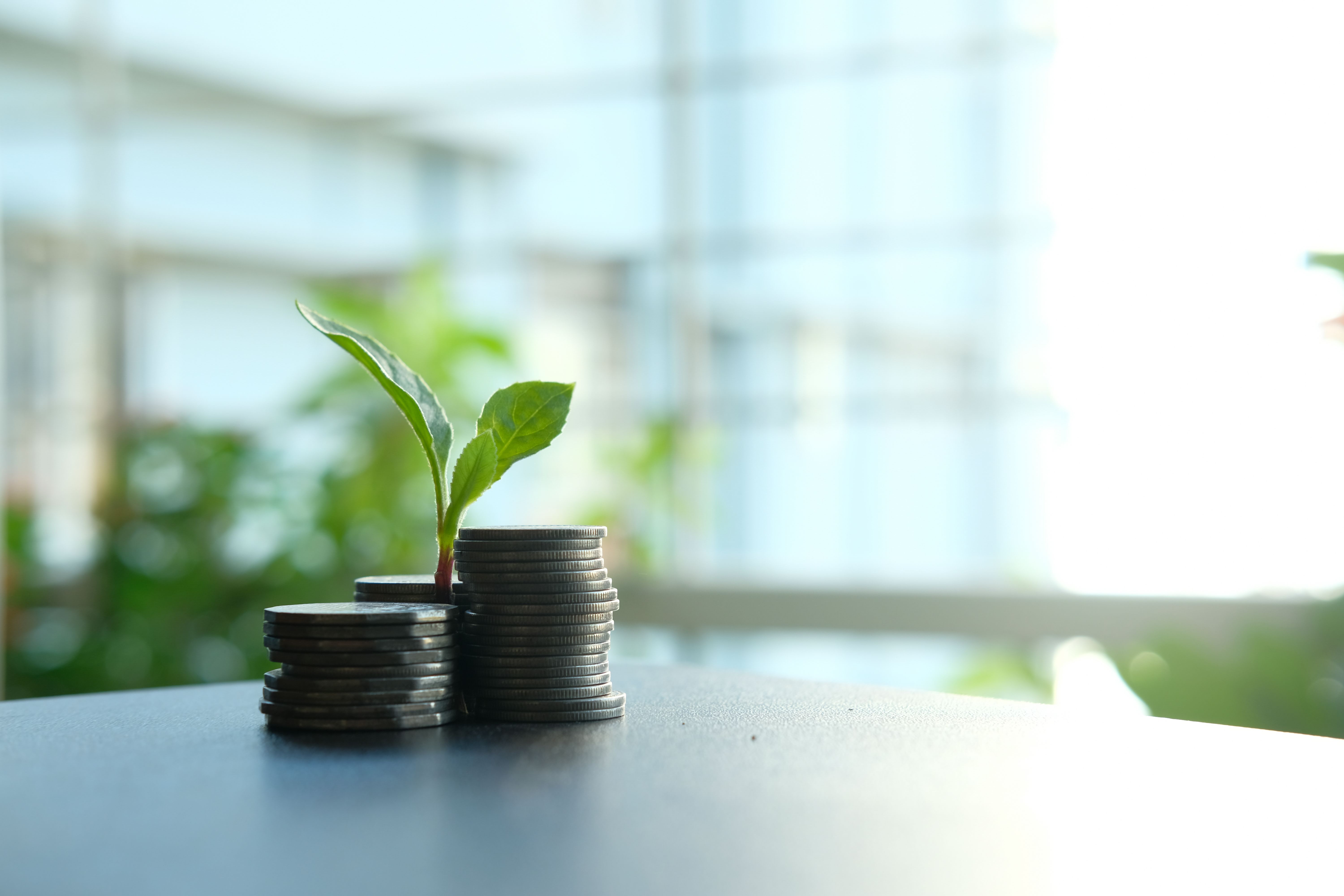 Plant sprouting from stacked coins, representing financial investment and growth